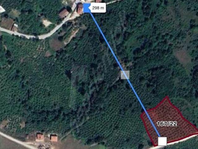 Yiğilca, Düzce içerisinde satılık mülk