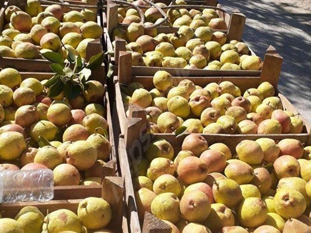 Korkuteli, Antalya içerisinde satılık Arsa