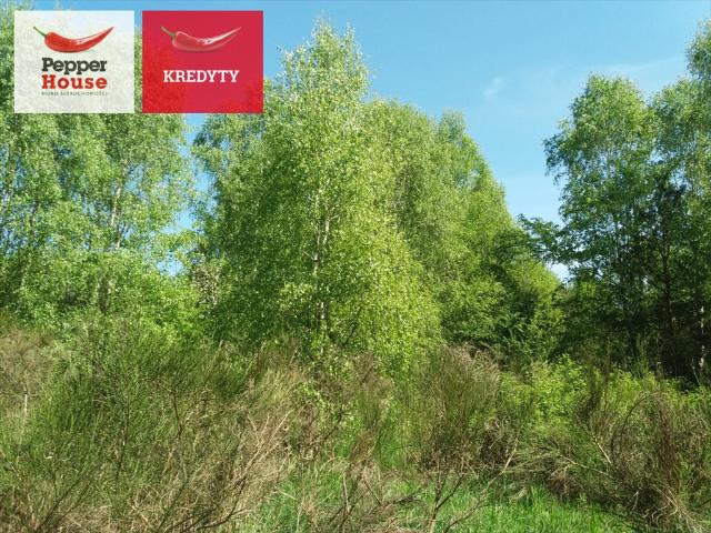 Grunt na sprzedaż w Pomorskie