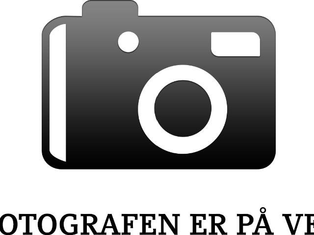Erhvervsejendom til leje i København, Brøndby