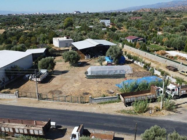 Arslanlı, Nazilli içerisinde satılık mülk