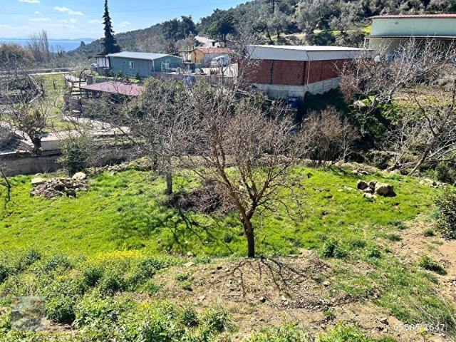 Yeşilyurt, Ayvacık içerisinde satılık mülk