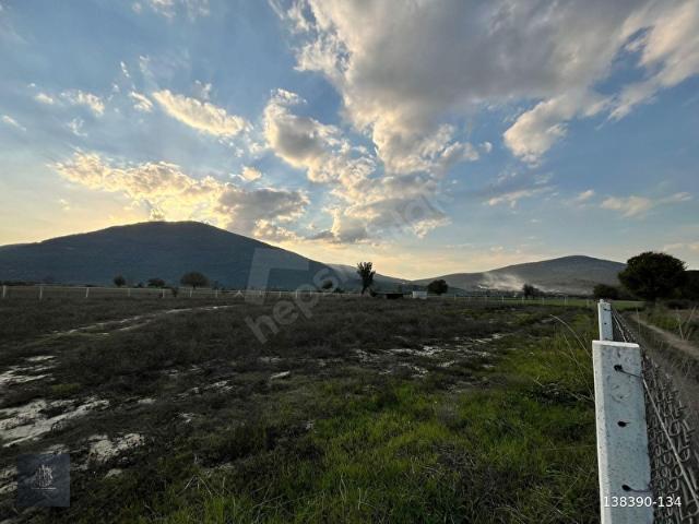 Muğla içerisinde satılık Arsa