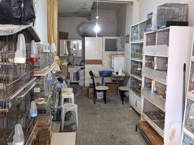 Karabağlar, İzmir içerisinde satılık Dükkan