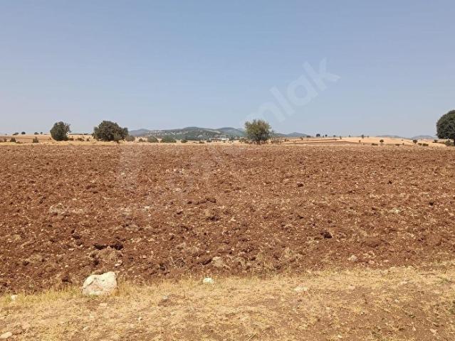 Yeşil Karaağaç, Uşak Merkez içerisinde satılık mülk
