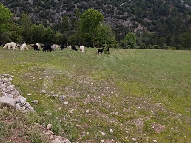 Çameli içerisinde satılık Arsa