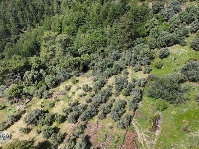 Ortaca, Muğla içerisinde satılık Arsa