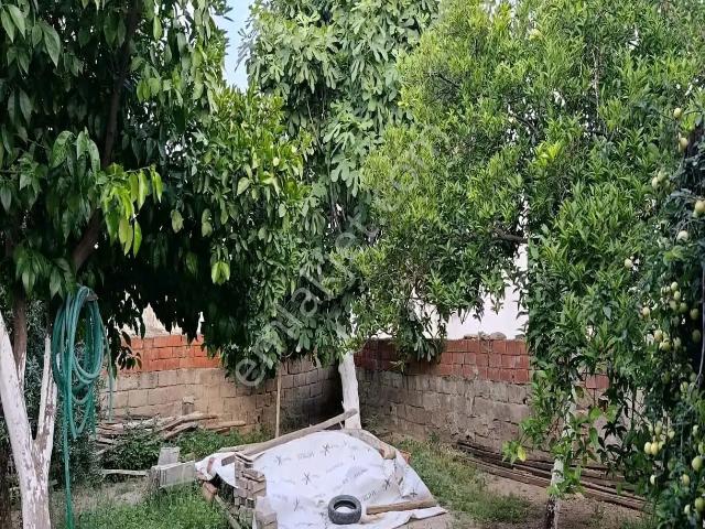 Nazilli, Aydin içerisinde satılık Villa
