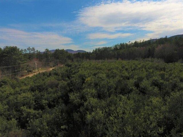 Land for sale in New Hampshire