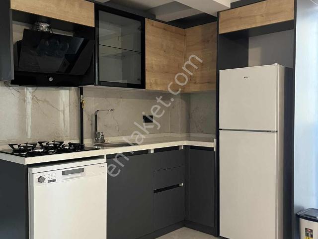 Aydin içerisinde kiralık mülk