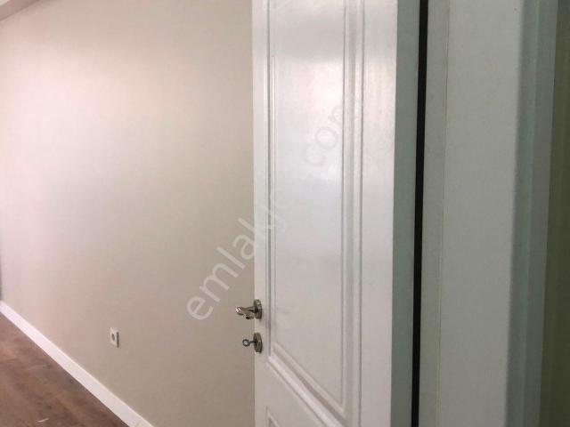 İstanbul Merkez, İstanbul içerisinde kiralık mülk