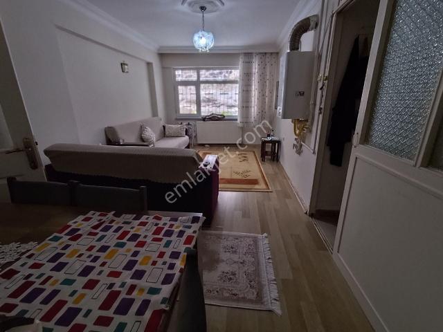İstanbul Merkez, İstanbul içerisinde satılık mülk