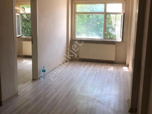 İstanbul Merkez, İstanbul içerisinde kiralık mülk
