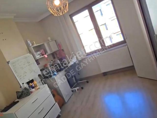 İstanbul Merkez, İstanbul içerisinde satılık mülk