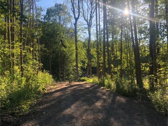 Land for sale in Dryden, New York