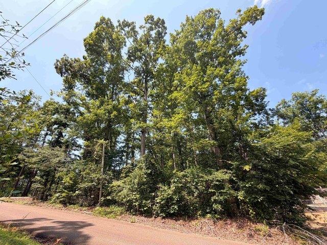 Land for sale in Tennessee