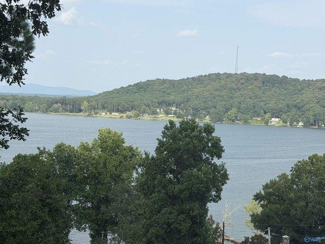 Land for sale in Leesburg, Alabama