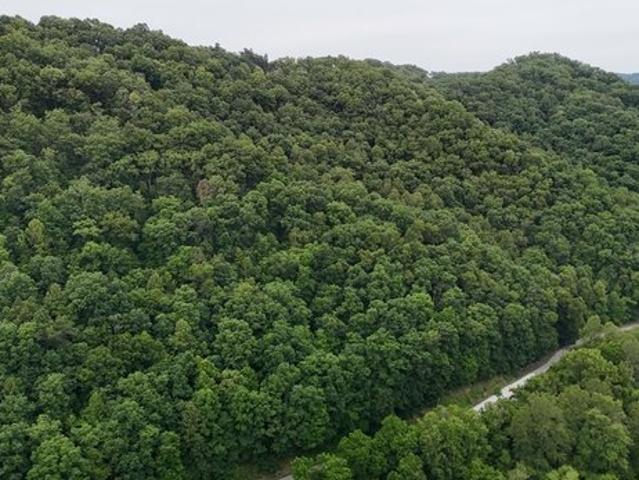 Land for sale in Louisa, Kentucky