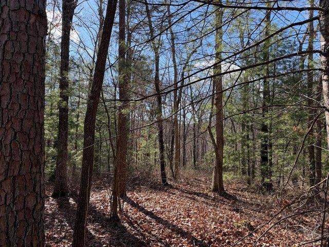 Land for sale in Murphy, North Carolina
