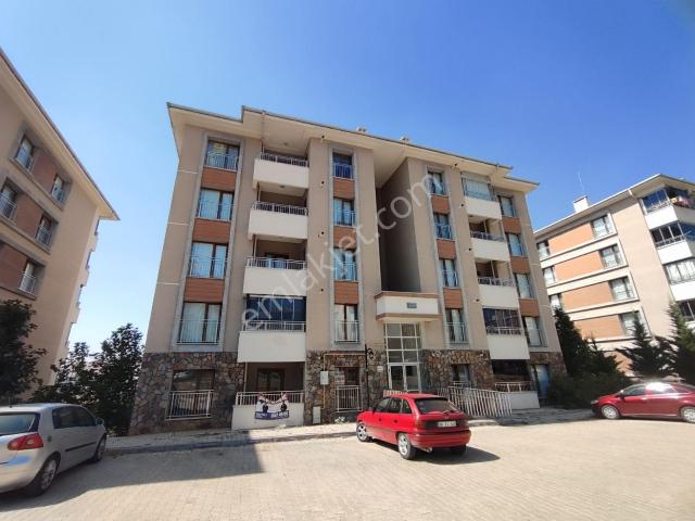 Elazığ Merkez, Elaziğ içerisinde kiralık mülk