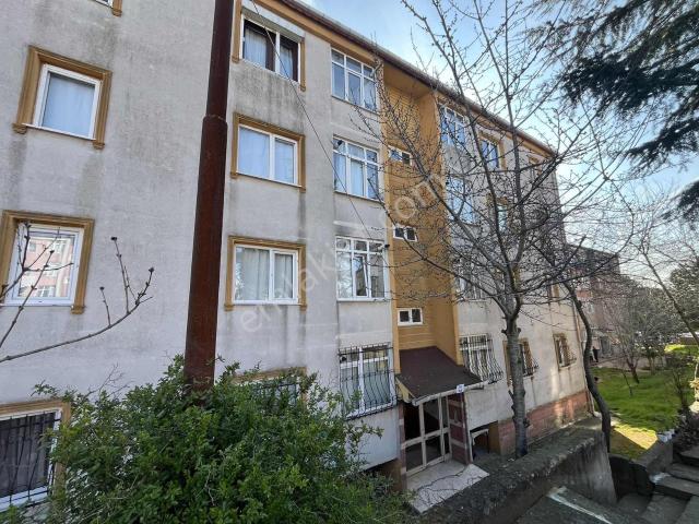 Pendik, İstanbul içerisinde kiralık mülk