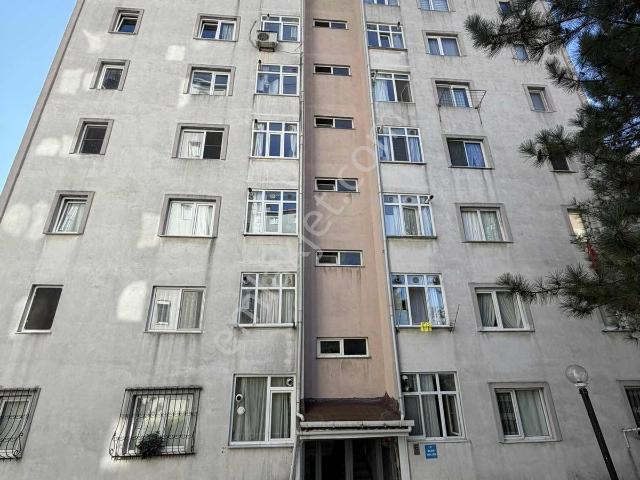 Yenişehir Mahallesi, Pendik içerisinde kiralık mülk