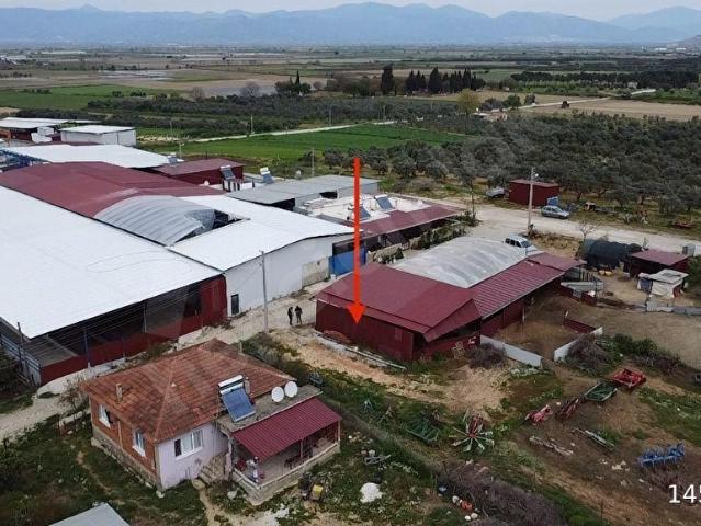 Tire, İzmir içerisinde satılık Arsa