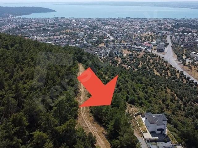 Didim, Aydin içerisinde satılık mülk