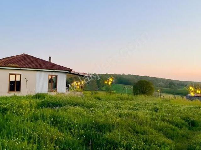 Söğütlü, Sakarya içerisinde satılık Fabrika