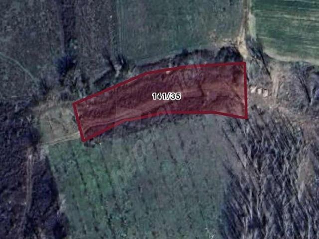 Kargacı, Yenice içerisinde satılık Arsa
