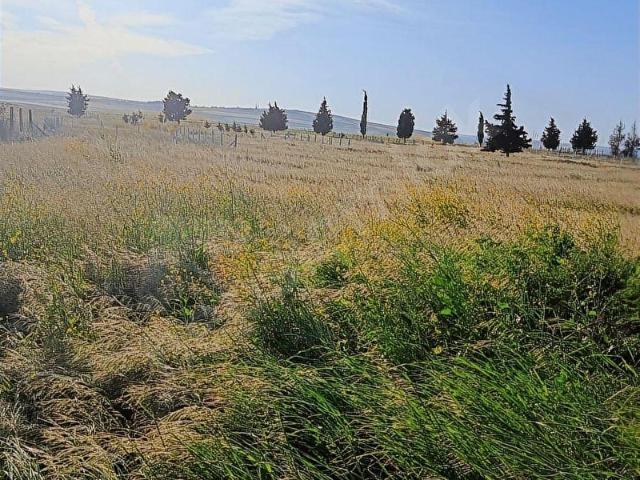 Yenice Mahallesi, Çorlu içerisinde satılık Arsa