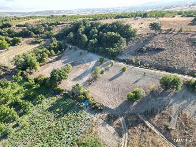 Yenişehir, Bursa içerisinde satılık Arsa