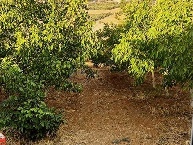 Yenişehir, Bursa içerisinde satılık Arsa
