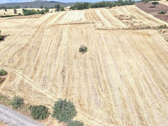 Yenişehir, Bursa içerisinde satılık Arsa