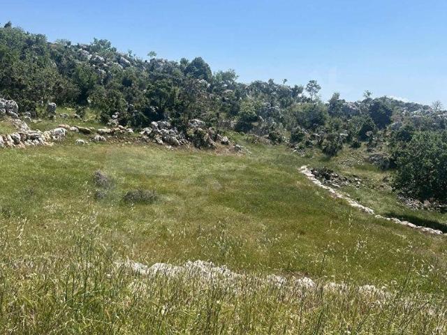 Yenişehir, Mersin içerisinde satılık Arsa