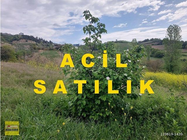 Yenişehir, Bursa içerisinde satılık Arsa