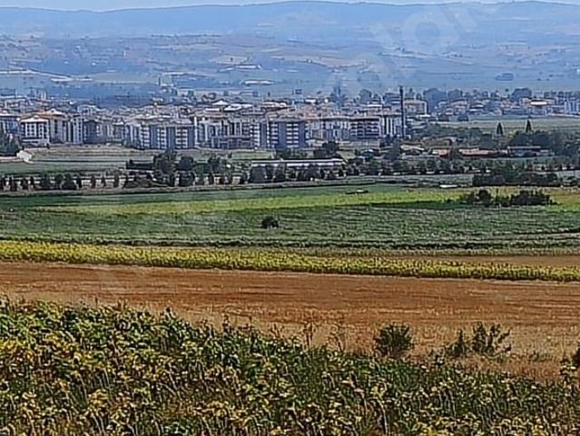 Yenişehir, Bursa içerisinde satılık Arsa