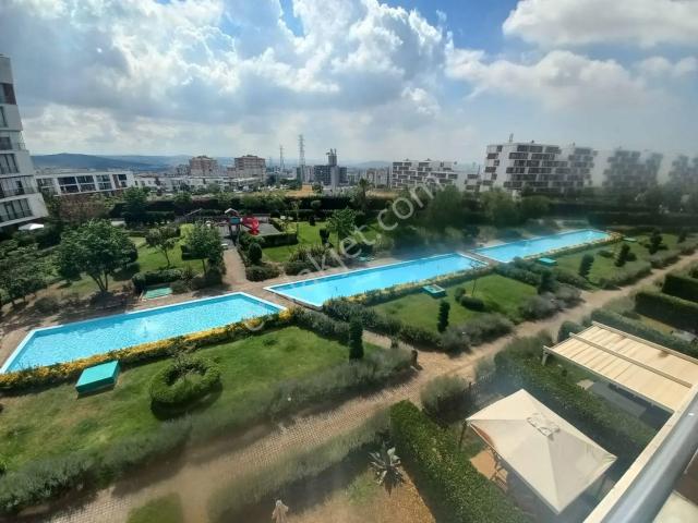 Pendik, İstanbul içerisinde kiralık mülk