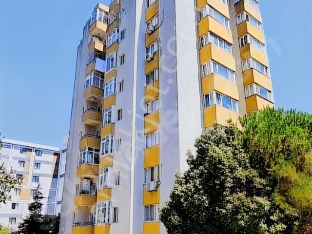 Pendik, İstanbul içerisinde kiralık mülk