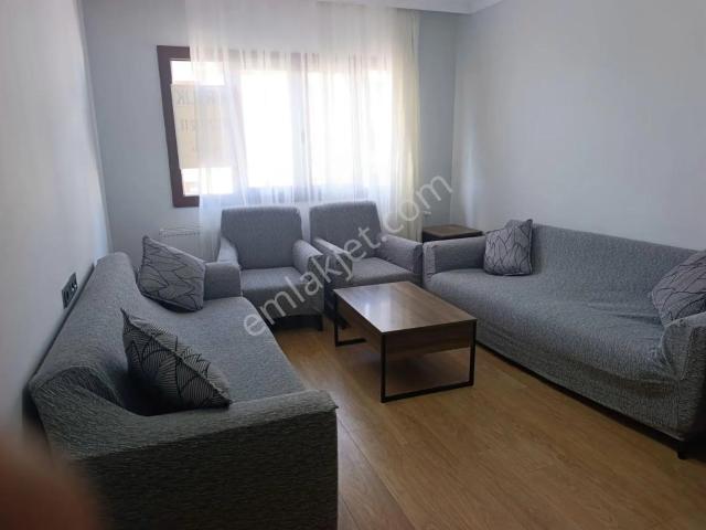 Kars Merkez, Kars içerisinde kiralık mülk