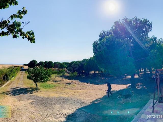 Çeşmeli Mahallesi, Marmaraereğlisi içerisinde satılık Arsa