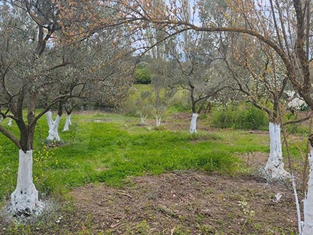 Orhangazi, Bursa içerisinde satılık Arsa