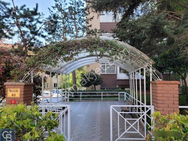 Beşiktaş, İstanbul içerisinde kiralık mülk