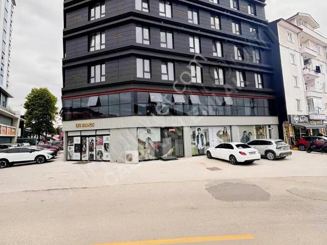 Tokat Merkez, Tokat içerisinde kiralık mülk