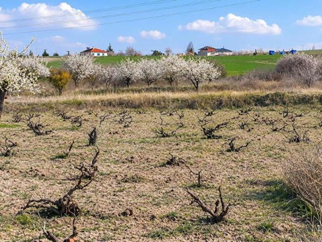 Nevşehir içerisinde satılık Arsa