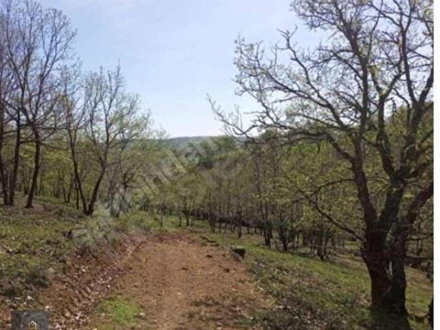 Karadağ, Çan içerisinde satılık Arsa
