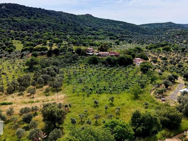 Foça, İzmir içerisinde satılık Arsa