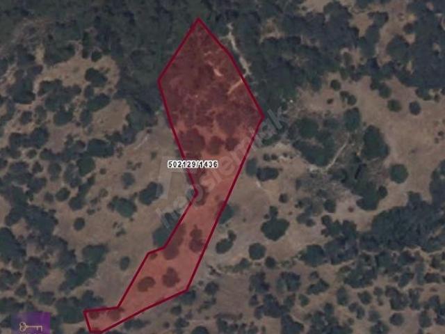Foça, İzmir içerisinde satılık Arsa