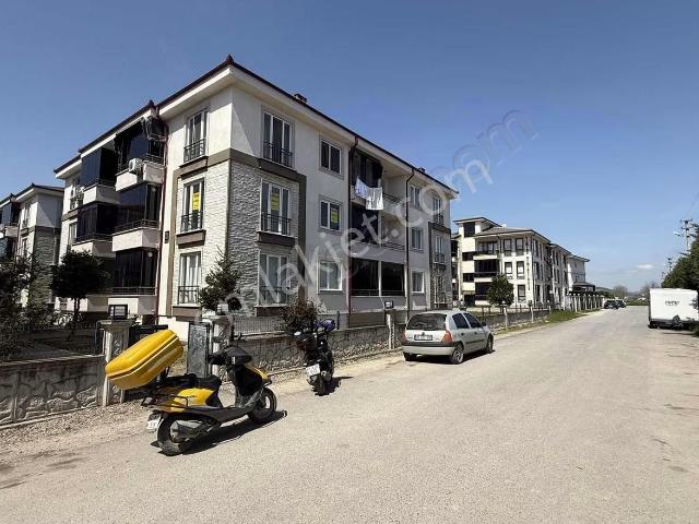 Adapazari, Sakarya içerisinde kiralık mülk