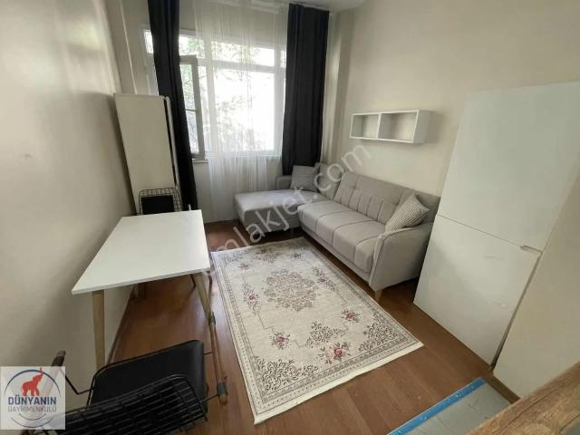 İstanbul Merkez, İstanbul içerisinde kiralık mülk